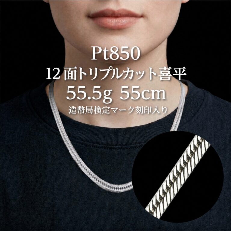 Pt12t-ｎ_5555